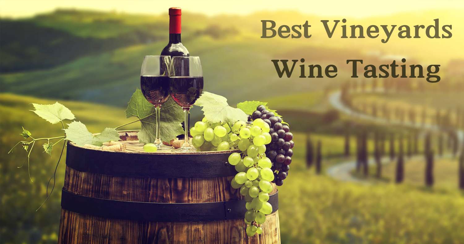 10 Best Vineyards For Wine Tasting In Kent