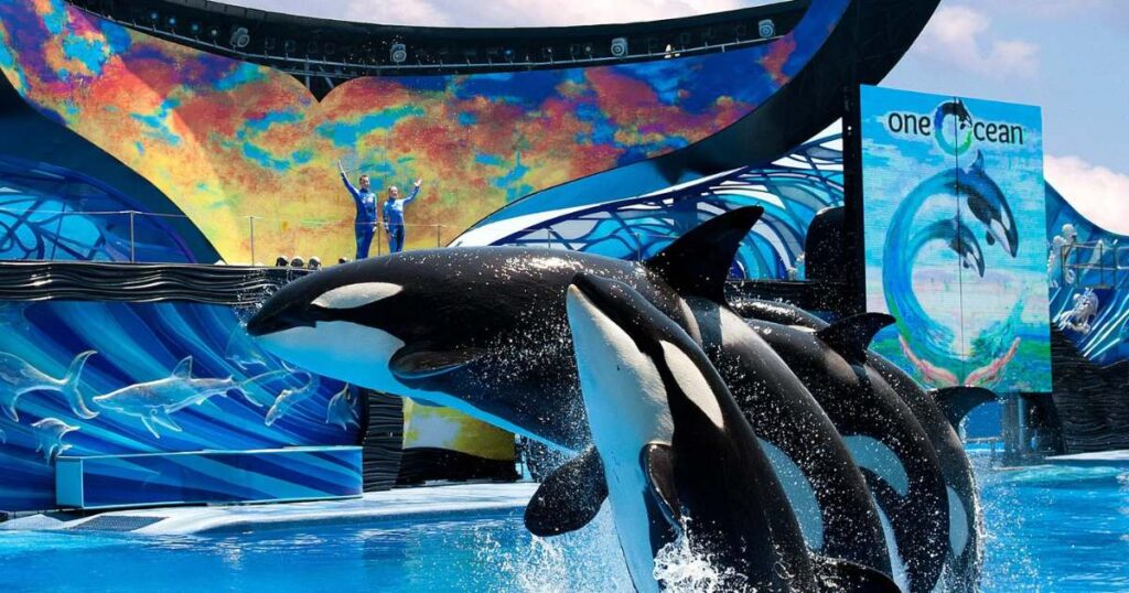 Best Times to Visit SeaWorld Orlando