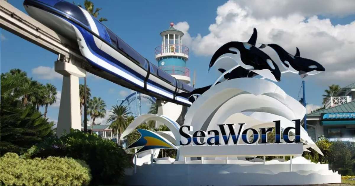 The Ultimate Guide to SeaWorld Orlando Opening Hours 2024
