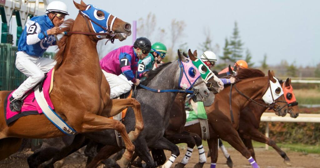 Watch the Horse Races at Remington Park & Casino