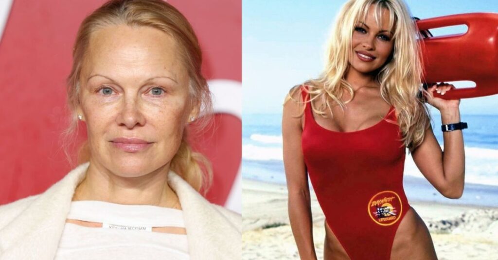 Pamela Anderson Net Worth